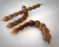 Tamarind