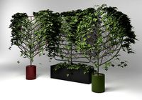 Botanical Planter by Len