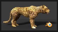 leopard