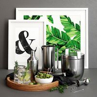 Carter Cocktail Set