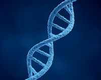 DNA Structure