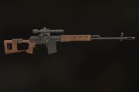 Dragunov sniper rifle