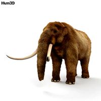 Mastodon HD