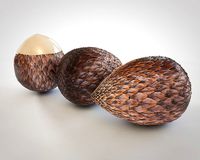 Salak Fruit