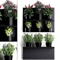 Plant set wall decor vertical garden 51