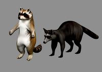 raccoon 2 animal in one archive