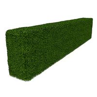Boxwood Rectangle