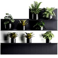 Plant set wall decor vertical garden 50