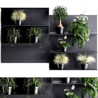 Plant set wall decor vertical garden 49