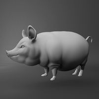 pig character design
