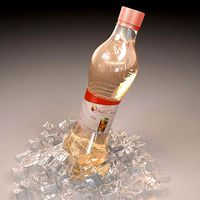 Bottle with ice