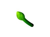 Asparagus