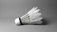Shuttlecock
