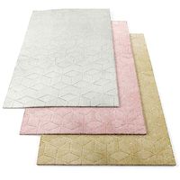 Asiatic Cozy rugs