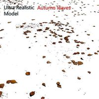 Autumn leaves Decal scan