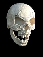 Vampire skull