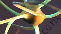 Neuron 3D