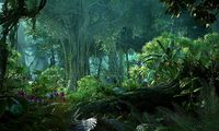 Urban Pristine Rainforest 03