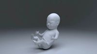 child 1  month | 3D