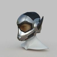 Wasp helmet  | 3D