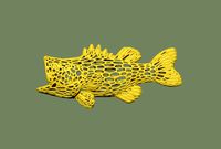 Bass fish voronoi wireframe | 3D