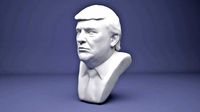 Donald Trump  | 3D