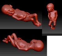 newborn | 3D