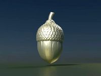 Acorn | 3D