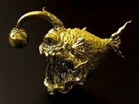 Angler Fish | 3D