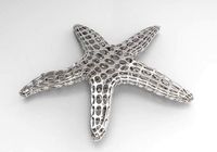 Starfish Voronoi | 3D