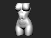 Woman Torso | 3D