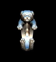 11 Pitbull Ring | 3D