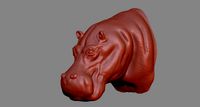 Hippopotamus Head | 3D