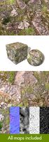 Rocky Hillside Seamless Texture