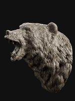 Bear Head Grin  | 3D