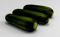 Cucumber - Game-Ready - VR AR