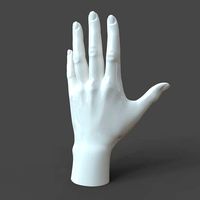 CAD-friendly Casual Woman Hand Model F1P1D0V1hand