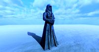 Hooded Statue