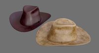Cowboy Hat 1D