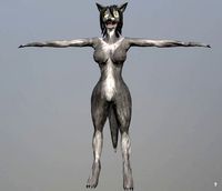 dracon85 Grey Werewolf Female