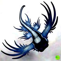 Glaucus atlanticus rigged low poly