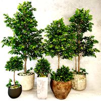 Trees