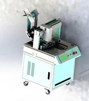 Double location labeling machine