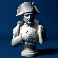 Napoleon Bust