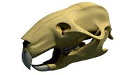 Rat Skull