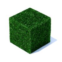Cube Shaped Hedge