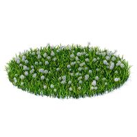 Grass with Sow-thistles 3D Model