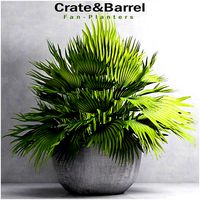 Decorative plant set-41