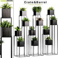 Decorative plant set-27