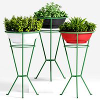 Decorative plant set-21